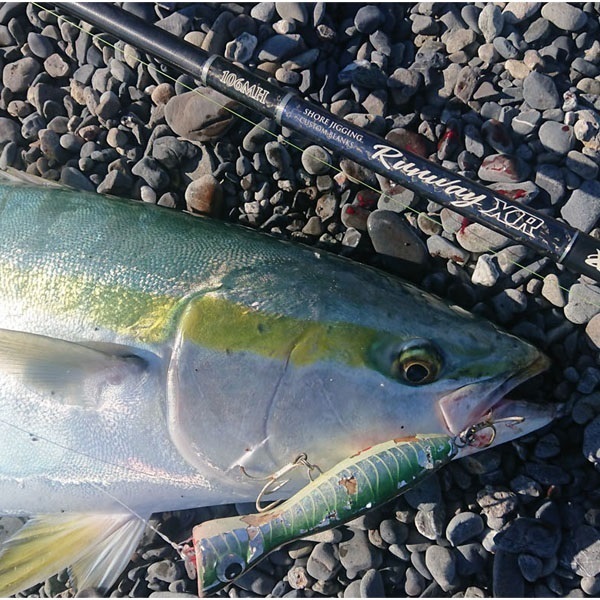 ランウェイ XR